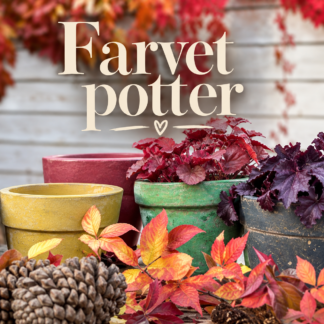 Farvet potter