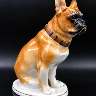 Dekorativ Boxer hund